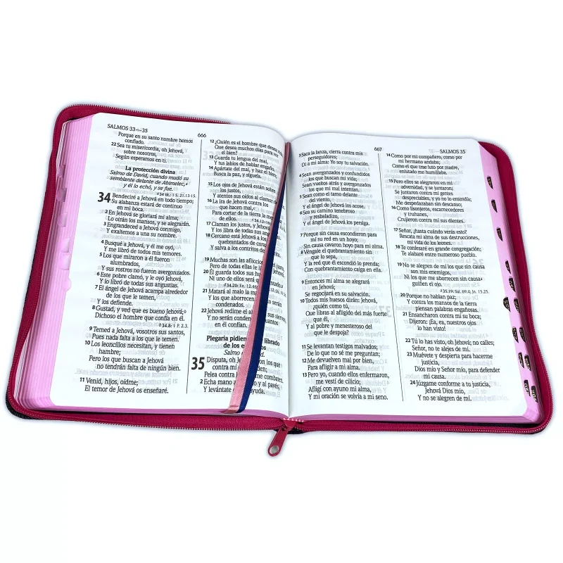 Biblia RVR 1960 Letra Grande Palabras de Jesús en Rojo con Concordancia Rvr084Clgipjrjztia Tapa Jeans Acolchada Azul Oscuro Cierre Rosa Canto Rosa con Índice - Image 3