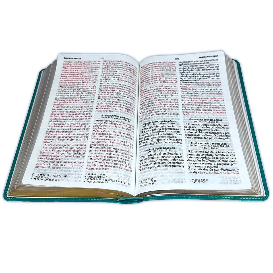 Biblia RVR 1960 Letra Grande Tamaño Manual Símil Piel Turquesa 2 Biblia RVR 1960 Letra Grande Tamaño Manual Símil Piel Turquesa - Image 2