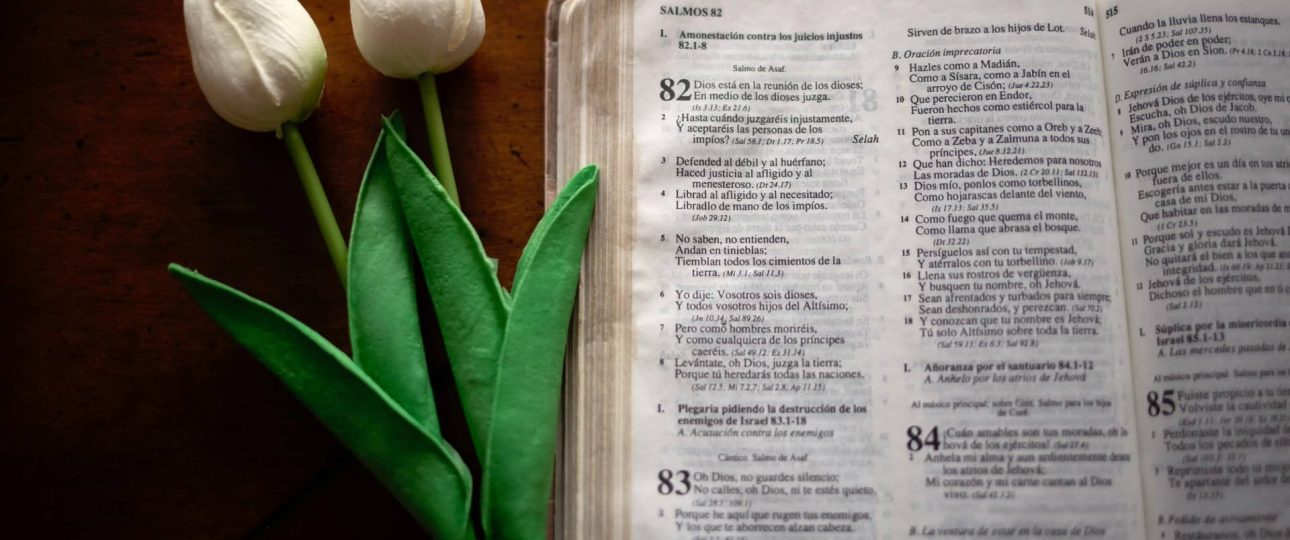 Salmo 91: Significado, Promesas y Cómo Orarlo en Tiempos Difíciles 1 Biblia abierta junto a flores blancas, símbolo de paz y confianza en Dios según el Salmo 91.