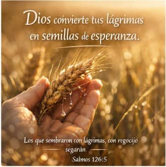 Frases de Dios: Gratitud, Fe, Fortaleza y Amor para Inspirar tu Vida 4 Lagrimas Frases de Dios: Gratitud, Fe, Fortaleza y Amor para Inspirar tu Vida